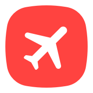 Domestic flight ticket
